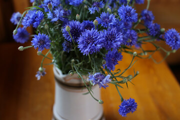 Bouquet of wild blue cornflowers in a vase, blurred floral background