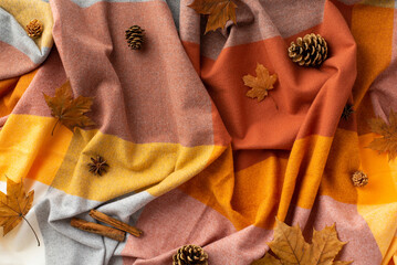 Autumn aesthetic concept. Top view photo of cinnamon sticks anise fallen maple leaves and pine cones on plaid scarf background