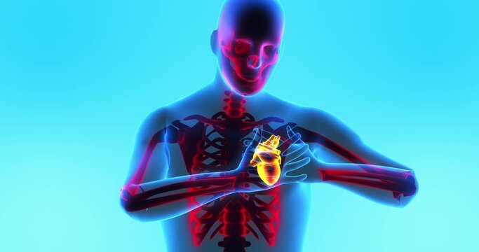 Adult Male Human Feeling Strong Pain. Possible Heart Attack. Medical And Healthcare Related 3D Animation.