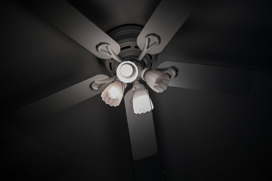 Black and White Ceiling Fan