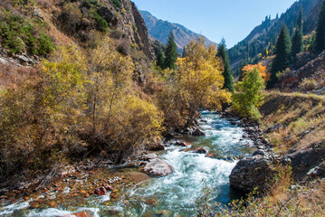 mountain river in autumn