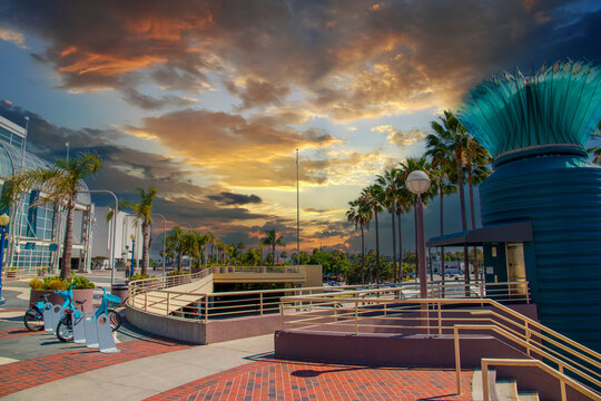 a gorgeous summer landscape at the Long Beach Convention Center with tall lush green palm trees and skyscrapers and office buildings in the skyline with powerful clouds at sunset in Long Beach