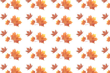 autumn leaves background