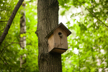 Birdhouses and bird feeder in the forest on a blurry background of greenery. Save birds. Bird feeding