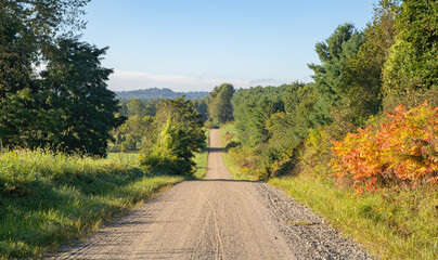 Straight gravel country road through the wooded countryside in Amish country, Ohio