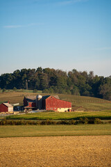 Amish farm in the wooded countryside of Holmes County, Ohio on a sunny day
