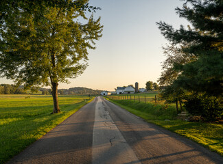 Fototapeta na wymiar Country road between two trees in the farmland of Amish country, Ohio