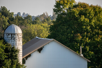 White barn and silo surrounded by trees   Amish farm in Holmes County, Ohio © Seth