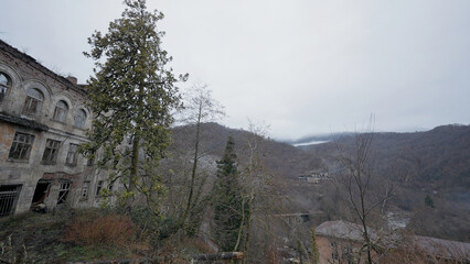 Grey landscape. Action.A gray spring forest without foliage next to an old building and a gray sky...