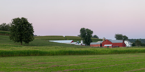 Fototapeta na wymiar Amish farm and cornfield in the countryside of Holmes County, Ohio in the evening