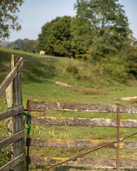 Wooden gate leading into a hilly pasture