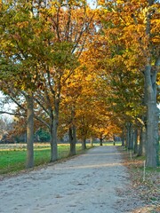 Appleton Farm in late autumn colors