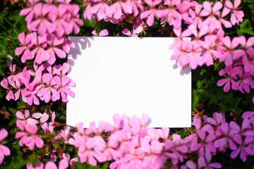 White card on pink flowers background
