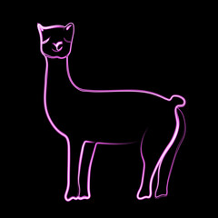 Fototapeta premium Vector illustration of llama with neon effect.
