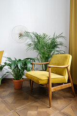 Yellow armchair standing in room near potted house plants