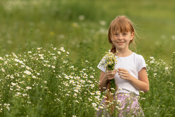 Portrait of a girl in a white T-shirt on a blooming field of daisies with a bouquet in her hands. A field of daisies on a summer day. Selective focus.