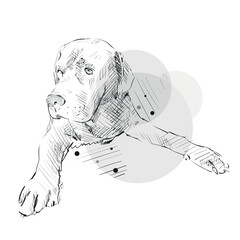 Labrador Retriever. Silhouette. Line art. Template. Close-up. Hand Painting. Ink. Black and white.