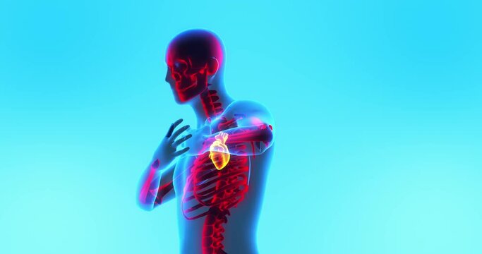 Stressed Human Heart. Patient Having Heart Attack. X-Ray Image. Medical And Healthcare Related 3D Animation.