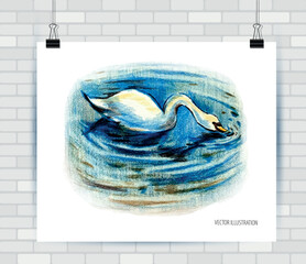 Drawing of a swan in colorpencil. Vector illustration. hand drawn animal illustration.