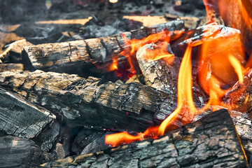 Burning coals covered by fire in the menhal, preparation of coals for grilling, hovering hearth