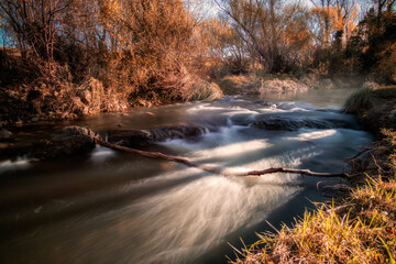 stream in autumn forest