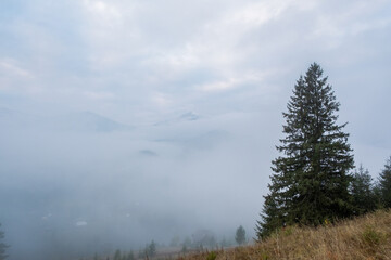 Misty morning in the Carpathian mountains in autumn. White fog over the dreamy mountain range, covered with green forest
