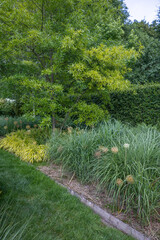 English garden type during summer season. Green grass and trees.