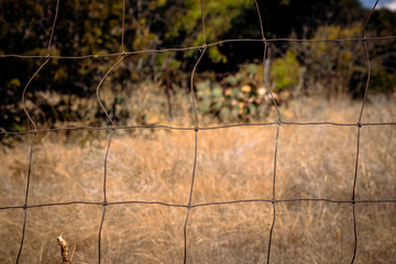 landscape through fence