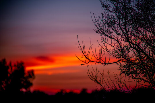 sunset silhouette