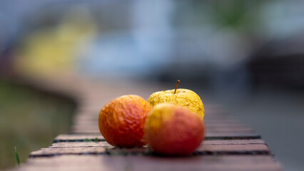 Over ripe apples on a wall in Cologne on a summer day