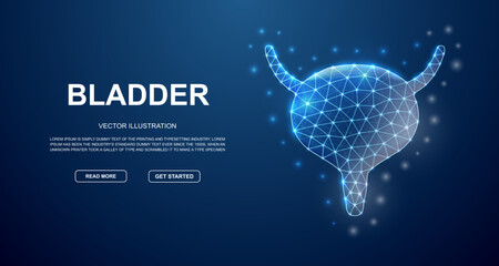 Bladder 3d low poly symbol with connected dots for blue landing page template. Reproductive system design illustration. Polygonal Organ illustration