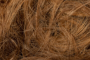 Close up of a clump of cut auburn hair - obrazy, fototapety, plakaty