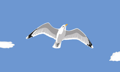 Seagull bird on blue sky with clouds vector. Seagull bird vector icon. Cartoon vector icon isolated on sky seagull bird. Realistic bird seagull illustration