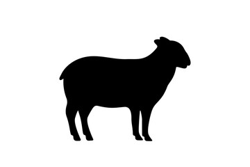 Sheep black silhouette. Sheep symbol. Ram silhouette. Farm animal icon isolated on white background.