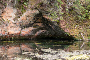 Mirror cliffs and an old river channel in a very beautiful forest in Cirulu nature trails, Latvia.