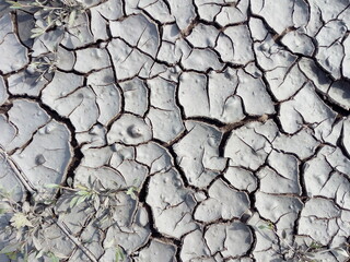 Dry cracked earth