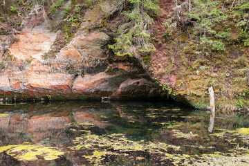 Mirror cliffs and an old river channel in a very beautiful forest in Cirulu nature trails, Latvia.