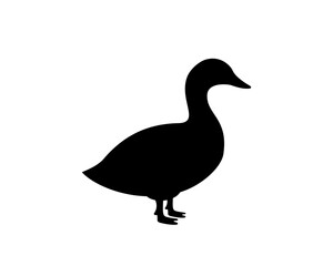 Duck black silhouette. Duck symbol. Canard bird silhouette. Farm bird icon isolated on white background.