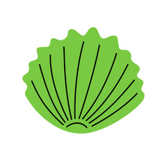 Scallop sea shell. Seashell hand drawn illustration. Scallop seashell
