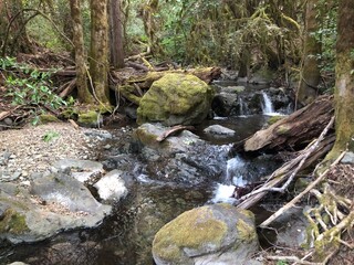 Quiet stream