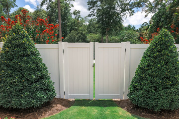 The opening to a white PVC tall fence for a backyard with sculpted and landscaped bushes on each...