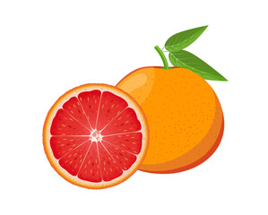 Grapefruit and slice with leaf, flat style vector illustration isolated on white background
