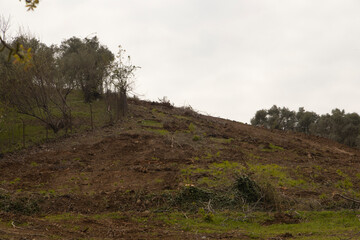 Fototapeta premium dug earth, tree branches, ruined earth