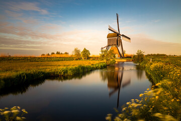 Fototapeta premium dutch windmill broekmolen at sunrise. Kinderdijk - Unesco.