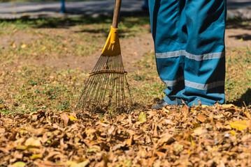 person sweeping fallen leaves from a square in autumn