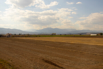 Fototapeta na wymiar vast field of yellow-brown ears of wheat, mountains and clouds behind