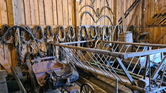 In the wooden shed, an old village cart and many horse collars are hung on the wall