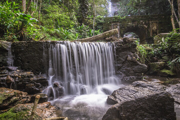 Cascadita en el Parque Florestal de la Tijuca, Alto de Boa Vista, Rio de Janeiro, Brasil