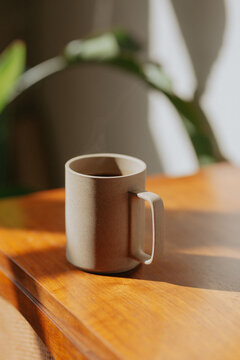 Coffee Cup In Warm Sunlight On Wooden Surface Surrounded By House Plants