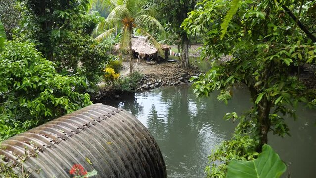 Small village next to a canal in Pohnpei, Micronesia. Small lagoon full of large eels. High quality 4k footage